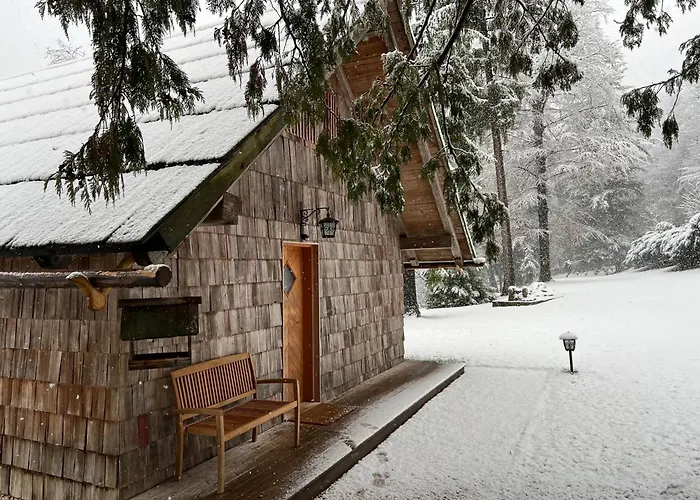 Private Beach House On Lake Bled