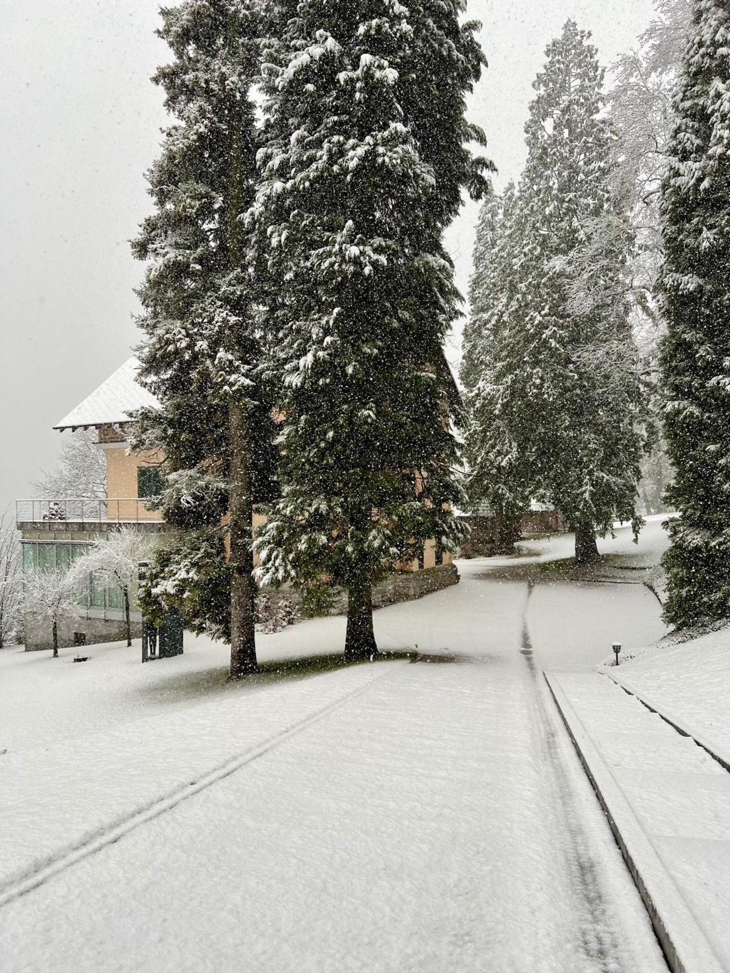 Private House On * Bled